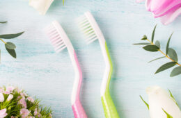 Spring into Dental Health: A Comprehensive Oral Hygiene Refresh Guide